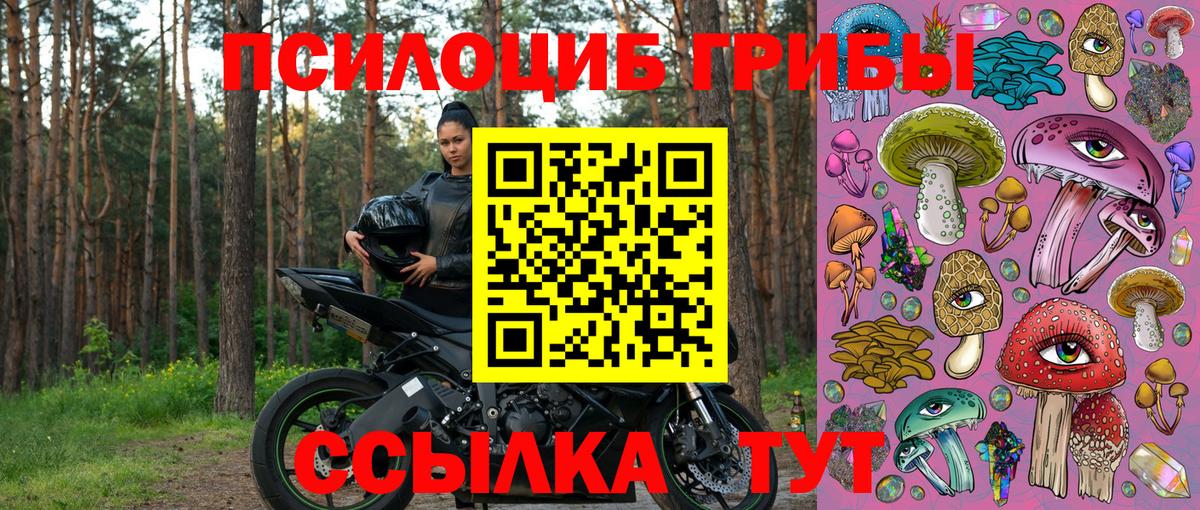 Галлюциногенные грибы Psilocybe  Псилоцибиновые грибы Psilocybine cubensis  Вход с VPN  Сатка 
